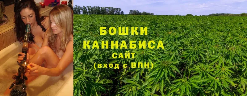 Каннабис SATIVA & INDICA  где купить наркоту  Тырныауз 